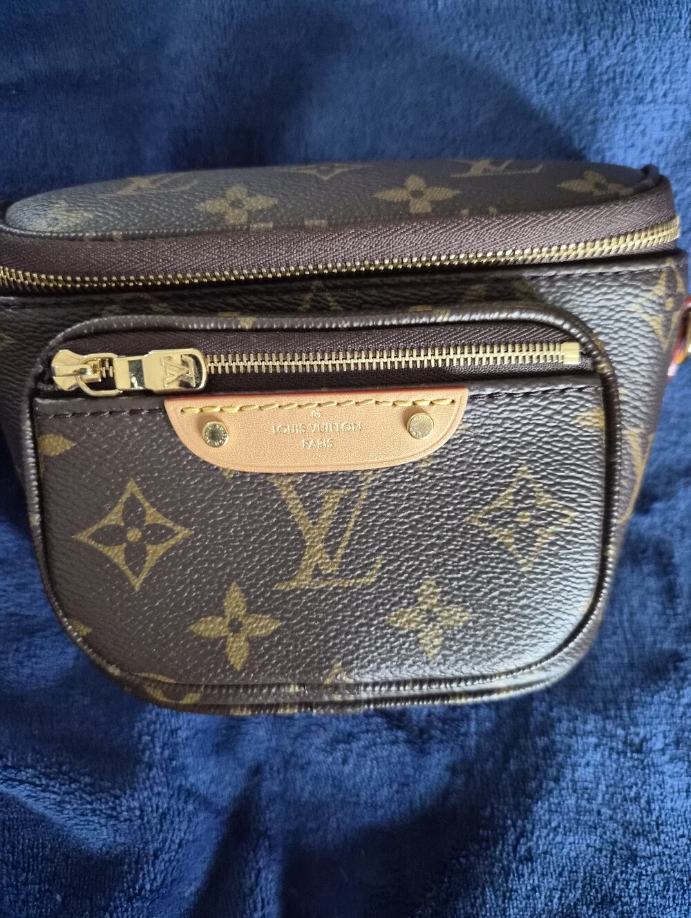 Louis Vuitton Monogram Canvas Mini Bum Belt Bag - Picture 1 of 16